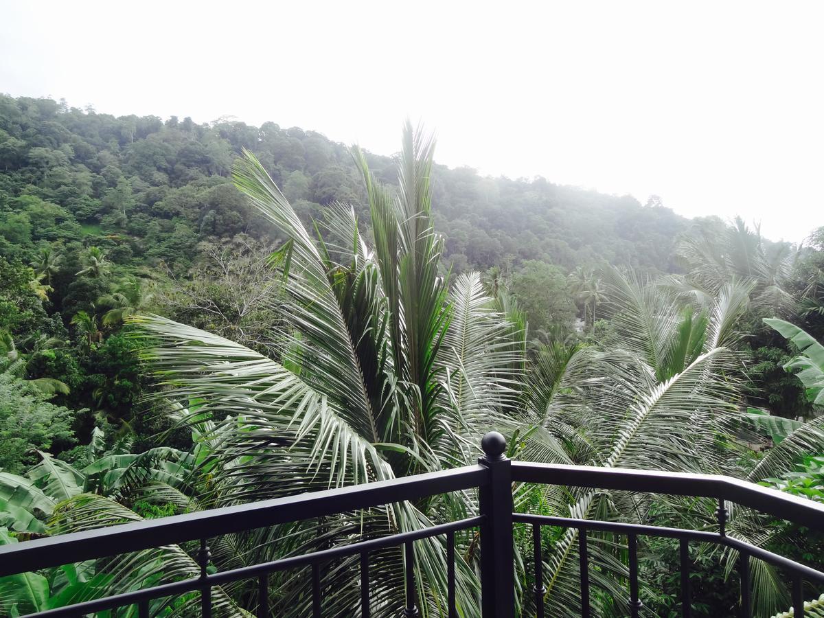 Slightly Chilled Forest Villa Sirimalwatta Luaran gambar